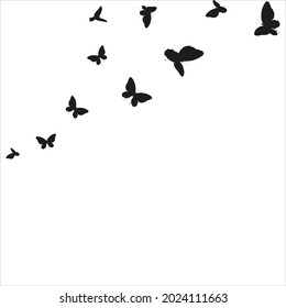 silueta, bonitas mariposas, aisladas en blanco