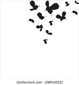 silhouette,beautiful butterflies, isolated on a white