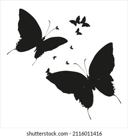 silhouette,beautiful butterflies, isolated on a white