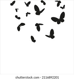 silhouette,beautiful butterflies, isolated on a white