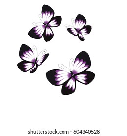 silhouette,beautiful butterflies, isolated on a white