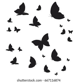 silhouette,beautiful butterflies, isolated on a white