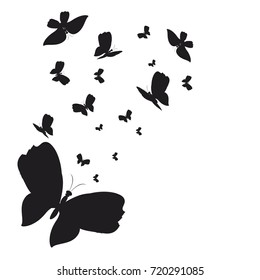 silhouette,beautiful butterflies, isolated on a white
