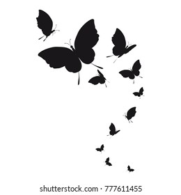 silhouette,beautiful butterflies, isolated on a white