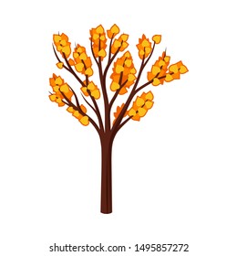 Silhouetted autumn tree with leaves. Vector illustration on a white background.