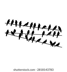 Silhouetted birds sitting on power lines, showcasing diverse postures and species in a minimalist black and white style.
