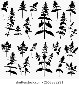 Silhouetted botanical illustrations of various flowering plants with leaves and stems, arranged on a transparent background.