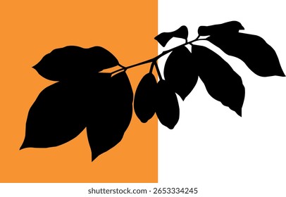 Ramo silhuetado com folhas e vagens contra um fundo laranja e branco brilhante