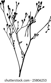 Silhouetted branches of dried plant with weeds on white background. Vector decorative organic element.