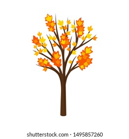 Silhouetted by autumn maple. Vector illustration on a white background.