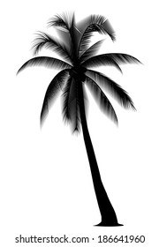 silhouetted coconut tree on the white background