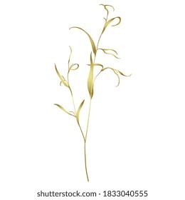 Silhouetted delicate branch with leaves. Eucalyptus or willow twig. Golden silhouette on white background.