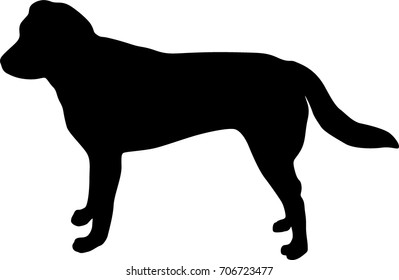 silhouetted dog black vector