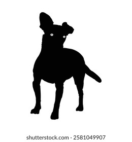 Silhouetted dog, standing alert. Dog vector, Dog icon, Dog silhouette.