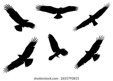 Silhouetted Eagles in Flight A Dynamic Composition of Wildlife Majesty and Freedom Captured in a Striking Black and White Image