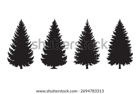Silhouetted Evergreen Trees a Forest of Pine Trees Against White Background
