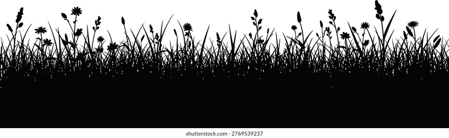 Silhouetted grasses against a bright white sky a minimalist landscape