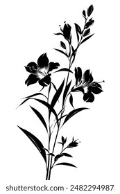 Silhouetted group of blooming flowers in black, set against a white backdrop