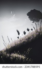 silhouetted hillside with grass and tree