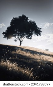 silberner Hang mit Gras und Baum