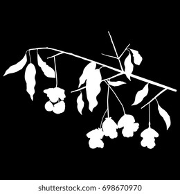 Silhouetted illustration of a European spindle tree bough. Autumn wildlife motif. Isolated white image on black background. svg