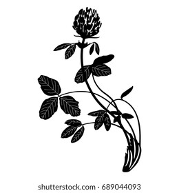Silhouetted image of a red clover. Wild meadow flower. Isolated black on white background. Floral motif, element for design.