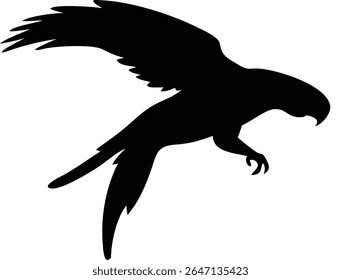Silhouetted parrot in flight depicting elegance and freedom against a plain white background
