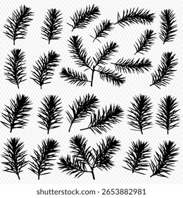 Silhouetted pine or fir branches are scattered across a transparent background.