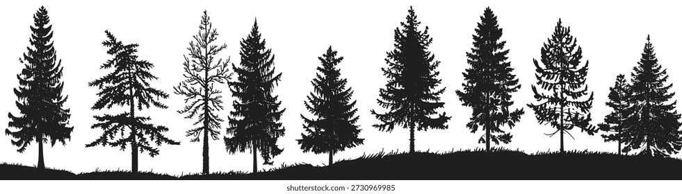 silhouettierte Kiefern schaffen einen auffälligen Kontrast