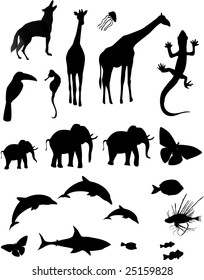 Silhouetted shapes of various animals