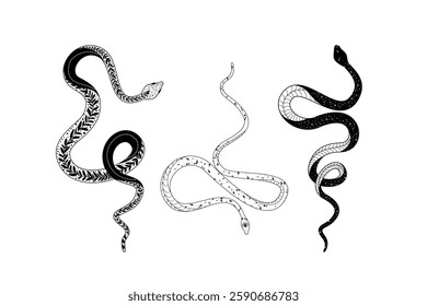 Silhouetted snake designs with intricate details and unique doodling styles in a vector format