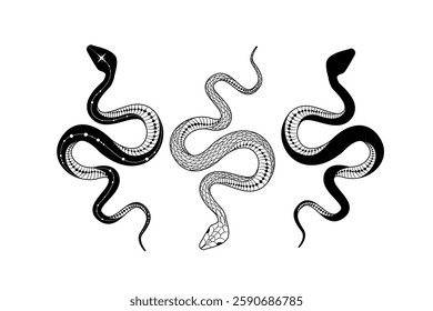 Silhouetted snake designs with intricate details and unique doodling styles in a vector format