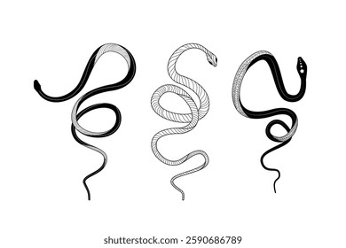 Silhouetted snake designs with intricate details and unique doodling styles in a vector format