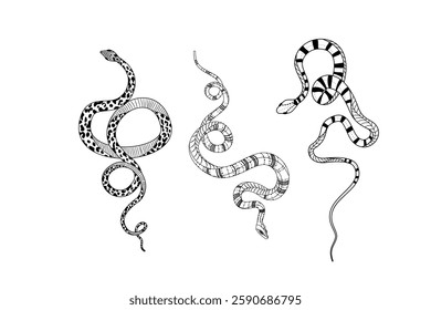 Silhouetted snake designs with intricate details and unique doodling styles in a vector format