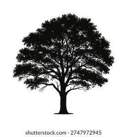Silhouetted tree with dense foliage against a plain white background