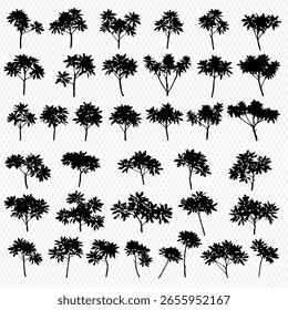 Silhouetted trees, various shapes and sizes, are arranged in a grid pattern against a transparent background.
