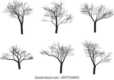 Árboles silueteados en recurso gráfico de invierno con diseño de ramas desnudas
