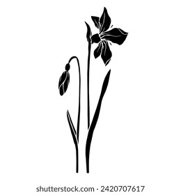 Silhouette,doodle of spring daffodil flower.Vector graphics.