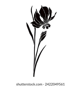 Silhouette,doodle de flor daffodil de primavera.Gráficos vectoriales.