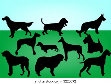 silhouettes of 10 dogs