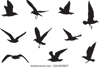 Silhouettes of 10 flying seagulls, birds in flight, vector graphic, bird icons