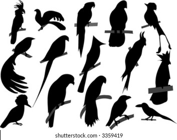 silhouettes of 15 birds