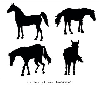 silhouettes of 4 being grazed horses. black silhouettes on a white background.