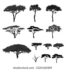Silhouettes of african acacia tree. Vector illustration