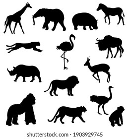 Silhouettes of African animals  plants isolated on white background. Vector.