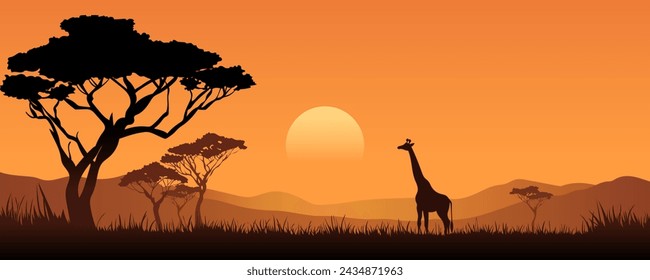 Silhouettes of an African giraffe against the backdrop of a beautiful sunset. Safari. African wildlife landscape vector illustration.