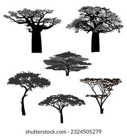 Silhouettes of african trees, acaсia and baobab. Vector illustration.