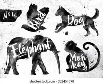 Silhouettes of animal bird, dog, monkey, elephant drawing black paint on background of dirty paper