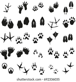 Silhouettes Animal Birds Mammals Footprints Set Stock Vector (Royalty ...