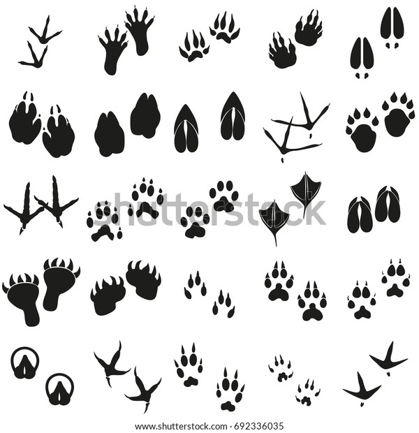 Silhouettes Animal Birds Mammals Footprints Set Stock Vector (Royalty ...